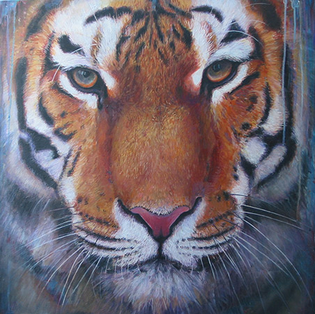 Tiger 10 2010 70x70